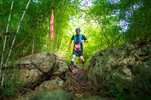 BIB: 
                            <button type="button" onclick="openModal(22087609)" class="btn btn-primary btn-sm float-right btn-popup" data-toggle="modal" data-target=".modal-high-quality">
                        <i class="fas fa-shopping-cart"></i> Add to Cart
                    </button>
                                            <button type="button" onclick="isThisMe(22087609, true)" class="btn btn-success btn-sm float-right btn-popup btn-isme hidden" data-toggle="tooltip" data-placement="bottom" title="นี่คือรูปของคุณใช่ไหม คลิกที่นี่เพื่อเอาเข้าอัลบั้ม">
                        <i class="fas fa-plus"></i> Add to album
                    </button>
                    <button type="button" onclick="isThisMe(22087609, false)" class="btn btn-warning btn-sm float-right btn-popup btn-isnotme hidden">
                        <i class="fas fa-ban"></i> Remove from album
                    </button>